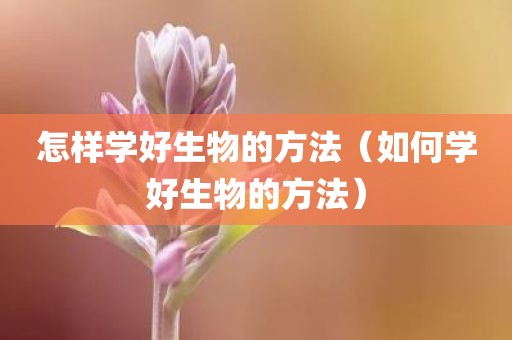 怎样学好生物的方法（如何学好生物的方法）