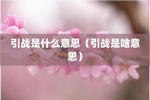 引战是什么意思（引战是啥意思）