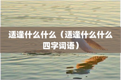 适逢什么什么(适逢什么什么四字词语)