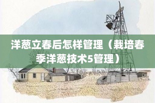 洋葱立春后怎样管理（栽培春季洋葱技术5管理）