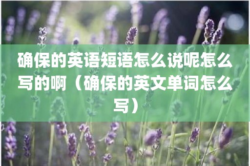 确保的英语短语怎么说呢怎么写的啊（确保的英文单词怎么写）