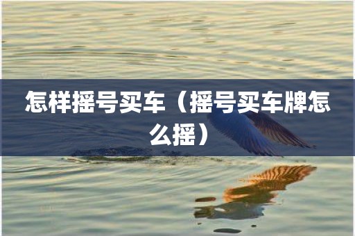怎样摇号买车（摇号买车牌怎么摇）