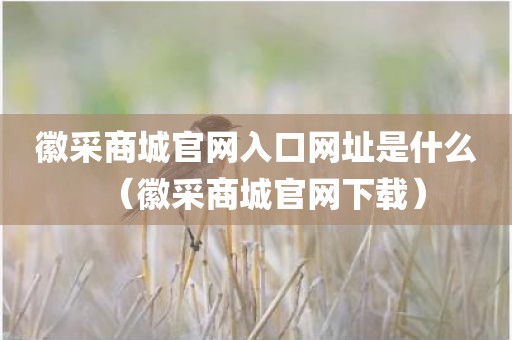 徽采商城官网入口网址是什么（徽采商城官网下载）