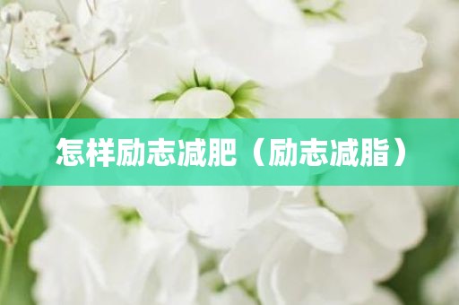 怎样励志减肥（励志减脂）