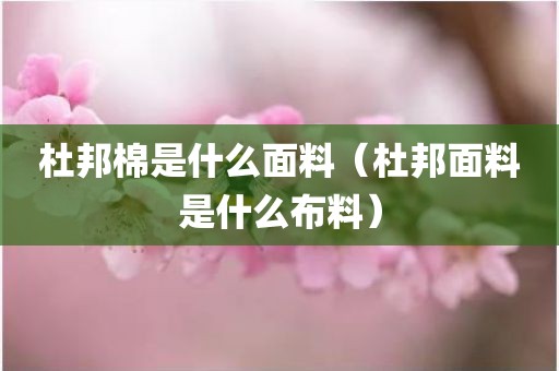 杜邦棉是什么面料（杜邦面料是什么布料）