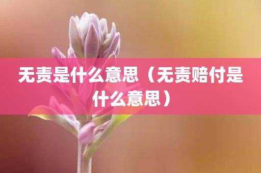 无责是什么意思（无责赔付是什么意思）