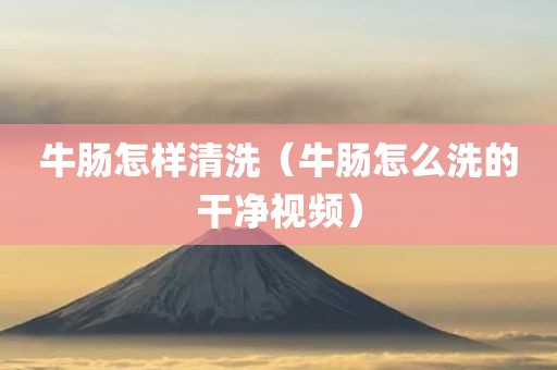 牛肠怎样清洗（牛肠怎么洗的干净视频）