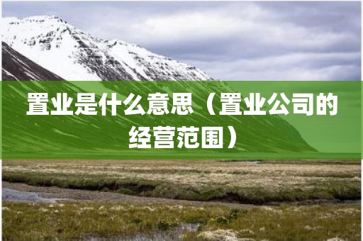 置业是什么意思（置业公司的经营范围）