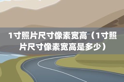 1寸照片尺寸像素宽高(1寸照片尺寸像素宽高是多少)