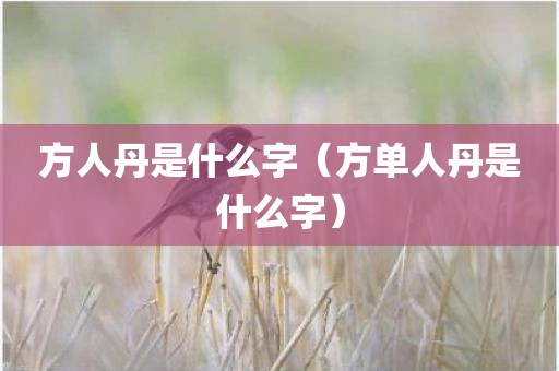 方人丹是什么字（方单人丹是什么字）