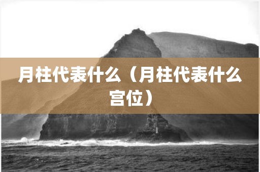 月柱代表什么（月柱代表什么宫位）