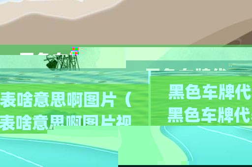 黑色车牌代表啥意思啊图片（黑色车牌代表啥意思啊图片视频）