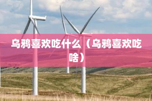 乌鸦喜欢吃什么（乌鸦喜欢吃啥）