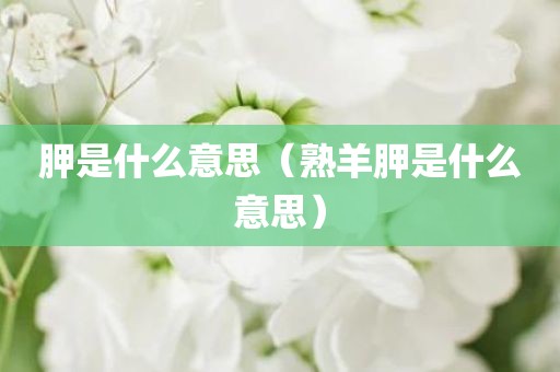 胛是什么意思（熟羊胛是什么意思）