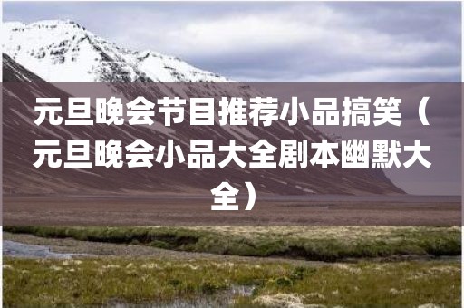 元旦晚会节目推荐小品搞笑（元旦晚会小品大全剧本幽默大全）