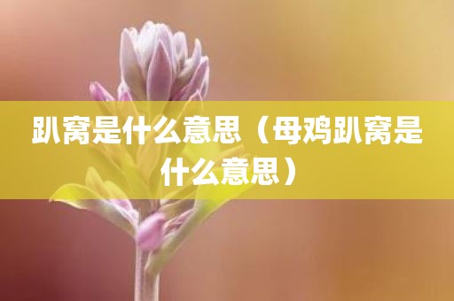 趴窝是什么意思（母鸡趴窝是什么意思）