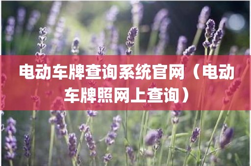 电动车牌查询系统官网（电动车牌照网上查询）