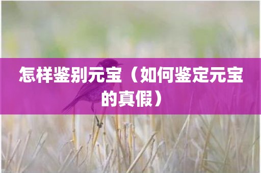 怎样鉴别元宝（如何鉴定元宝的真假）