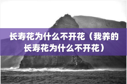 长寿花为什么不开花（我养的长寿花为什么不开花）