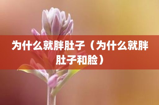 为什么就胖肚子（为什么就胖肚子和脸）