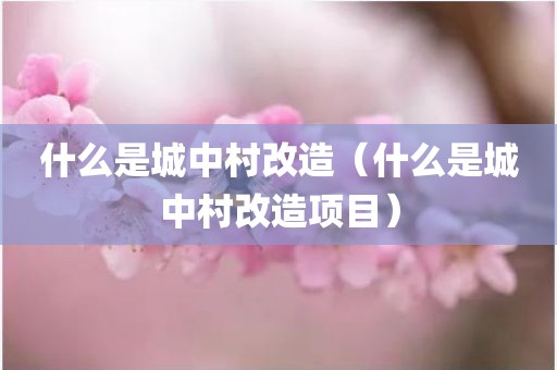 什么是城中村改造（什么是城中村改造项目）