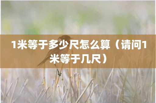 1米等于多少尺怎么算(请问1米等于几尺)