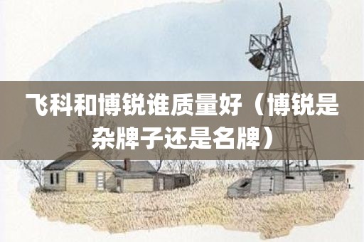 飞科和博锐谁质量好（博锐是杂牌子还是名牌）