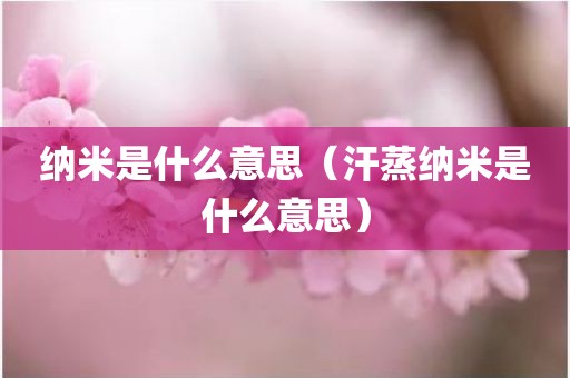 纳米是什么意思（汗蒸纳米是什么意思）