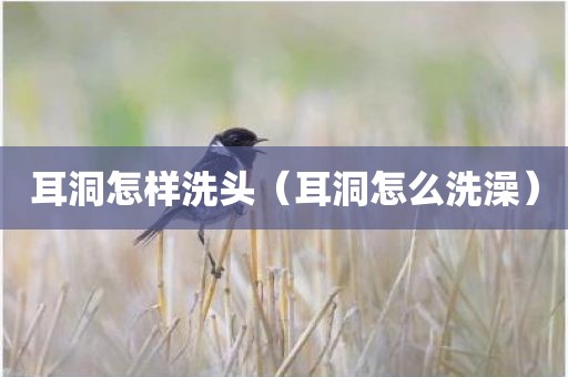 耳洞怎样洗头（耳洞怎么洗澡）