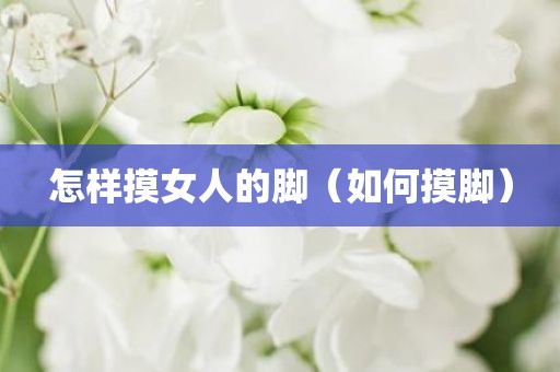 怎样摸女人的脚（如何摸脚）