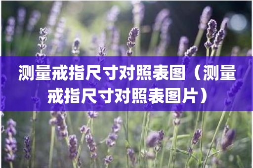 测量戒指尺寸对照表图（测量戒指尺寸对照表图片）