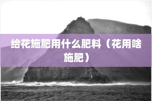 给花施肥用什么肥料（花用啥施肥）