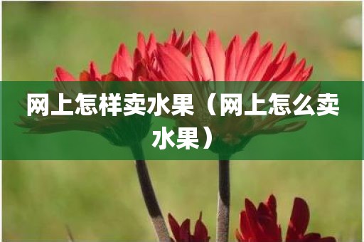 网上怎样卖水果（网上怎么卖水果）
