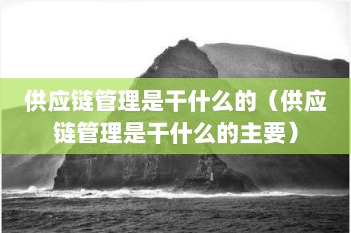 供应链管理是干什么的（供应链管理是干什么的主要）