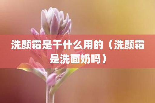 洗颜霜是干什么用的（洗颜霜是洗面奶吗）