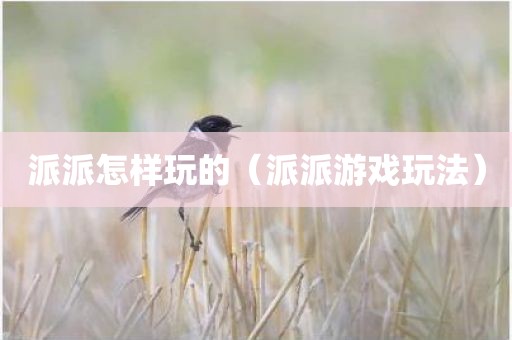 派派怎样玩的（派派游戏玩法）