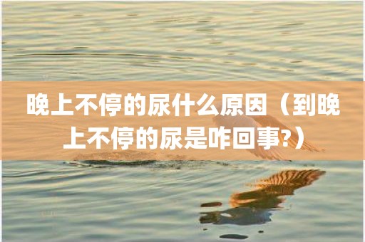 晚上不停的尿什么原因（到晚上不停的尿是咋回事?）