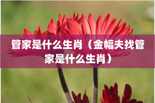 管家是什么生肖（金幅夫找管家是什么生肖）