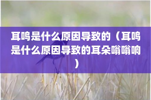 耳鸣是什么原因导致的（耳鸣是什么原因导致的耳朵嗡嗡响）