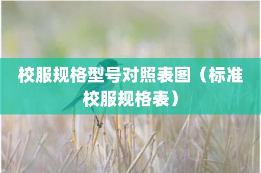 校服规格型号对照表图（标准校服规格表）