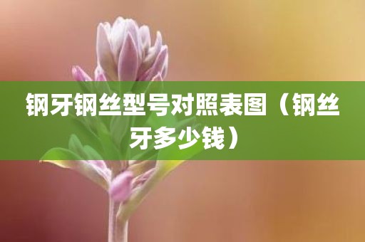 钢牙钢丝型号对照表图（钢丝牙多少钱）