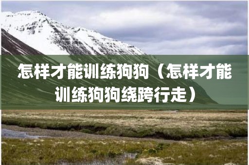 怎样才能训练狗狗（怎样才能训练狗狗绕跨行走）