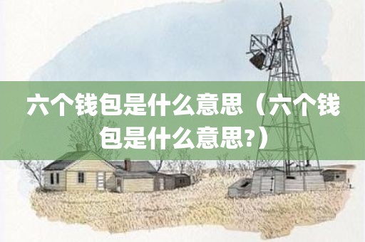 六个钱包是什么意思（六个钱包是什么意思?）