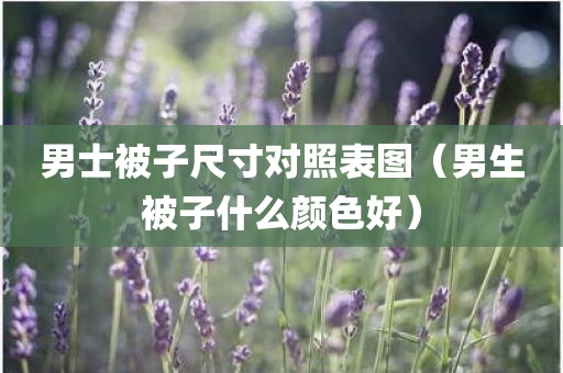 男士被子尺寸对照表图（男生被子什么颜色好）