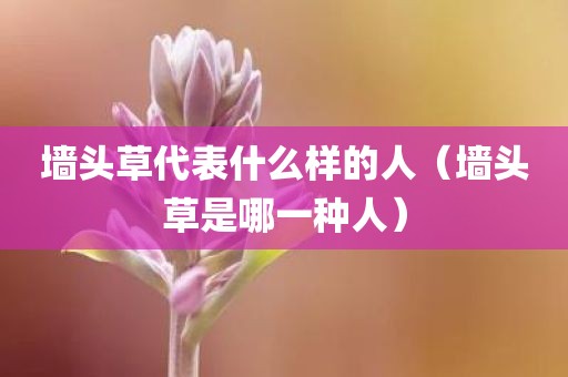 墙头草代表什么样的人（墙头草是哪一种人）