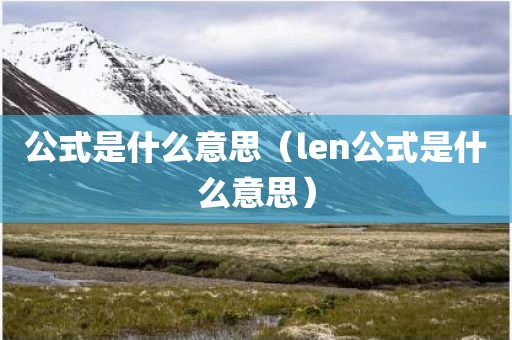 公式是什么意思（len公式是什么意思）