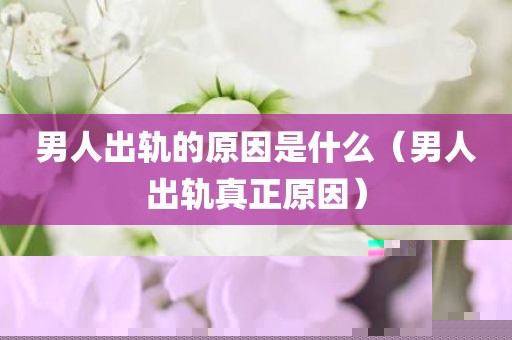 男人出轨的原因是什么（男人出轨真正原因）