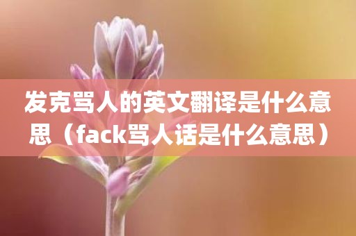 发克骂人的英文翻译是什么意思(fack骂人话是什么意思)