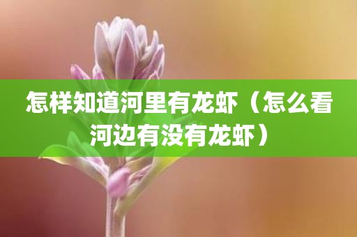 怎样知道河里有龙虾（怎么看河边有没有龙虾）