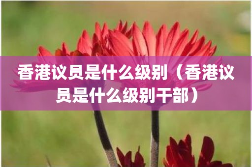 香港议员是什么级别（香港议员是什么级别干部）